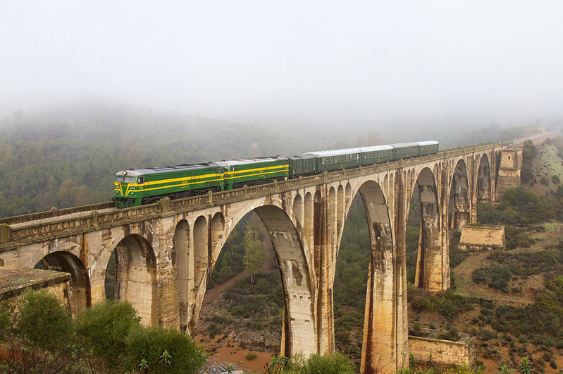 9679.jpg