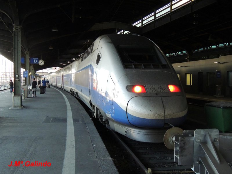 DSCN8932.jpg