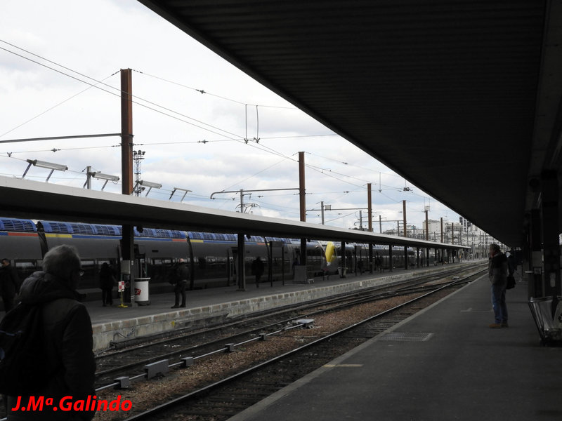 DSCN0416.jpg