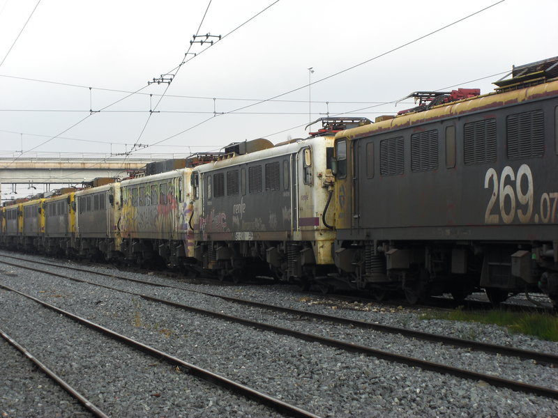 CIMG0184.JPG