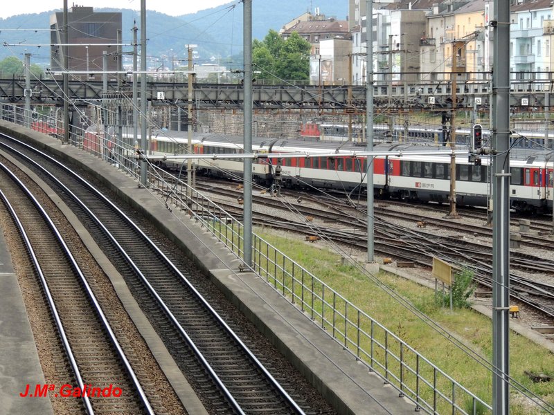 DSCN8456.jpg