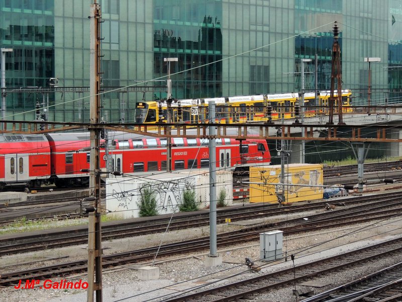 DSCN8480.jpg