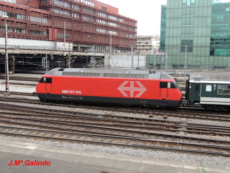 DSCN8494.jpg