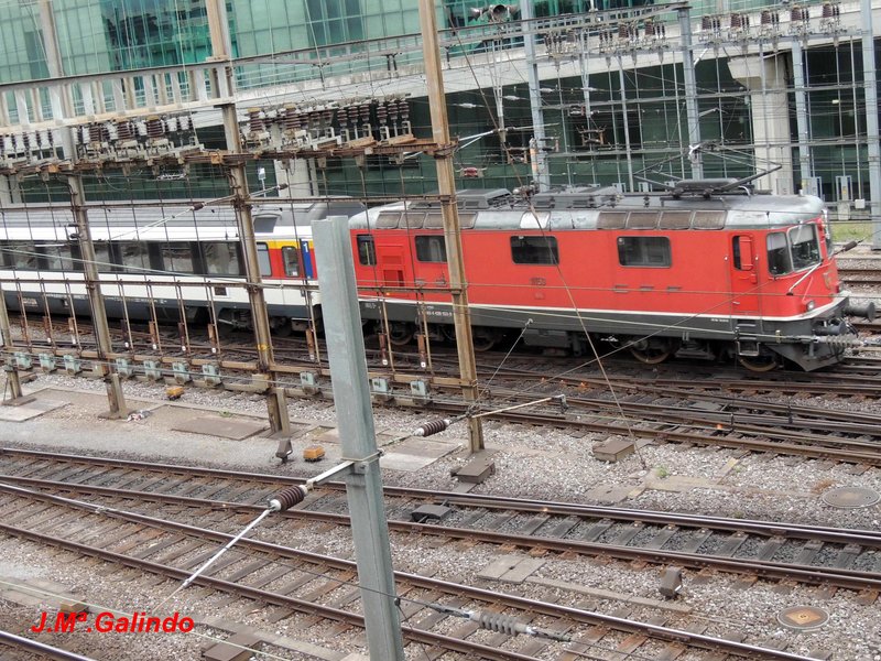 DSCN8507.jpg