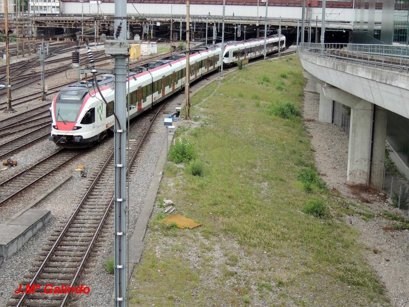 DSCN8510.jpg