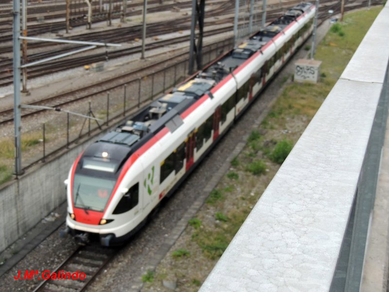 DSCN8530.jpg