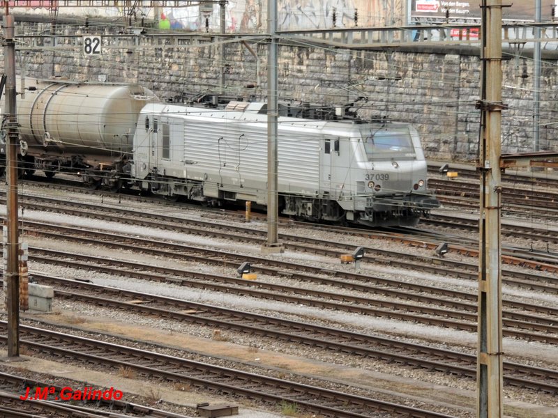 DSCN8535.jpg