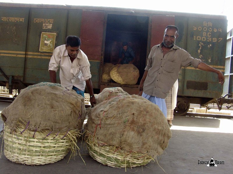 BANGLADESH (135).jpg