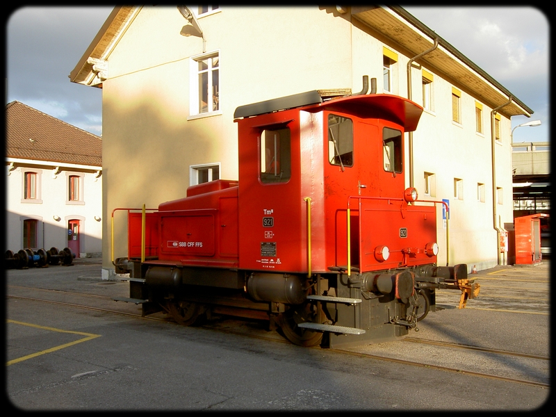 009} Tm 921.jpg