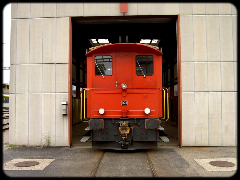 018} Tm  921.jpg