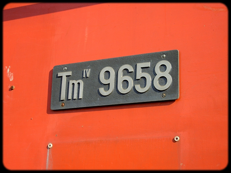 04} Tm 9658.jpg