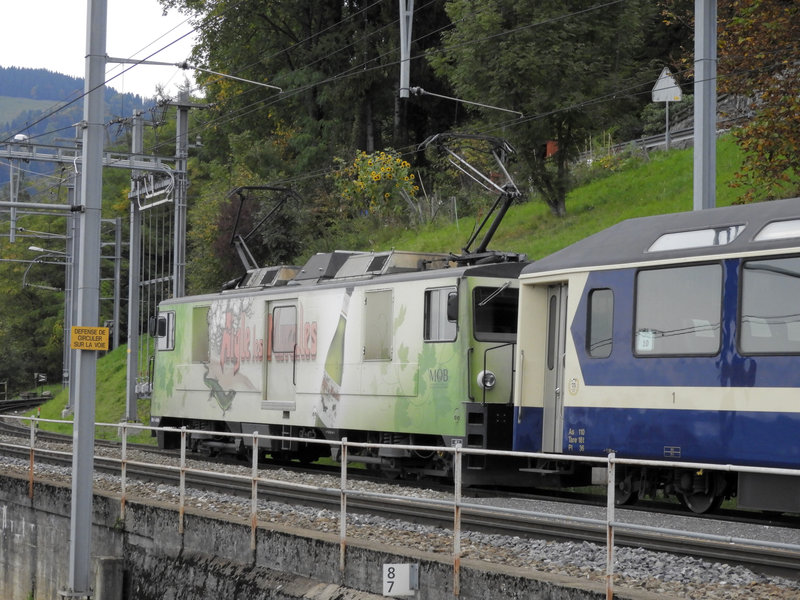 DSCN1339.jpg