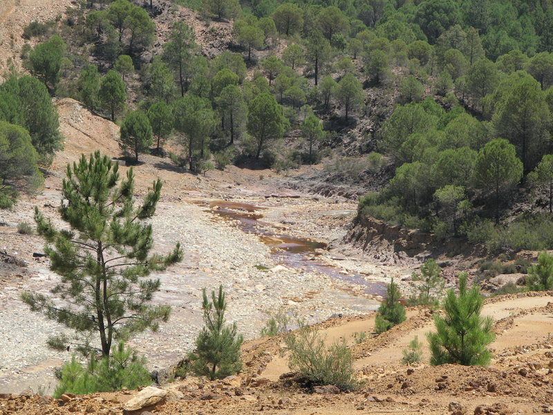 IMG_2709.JPG