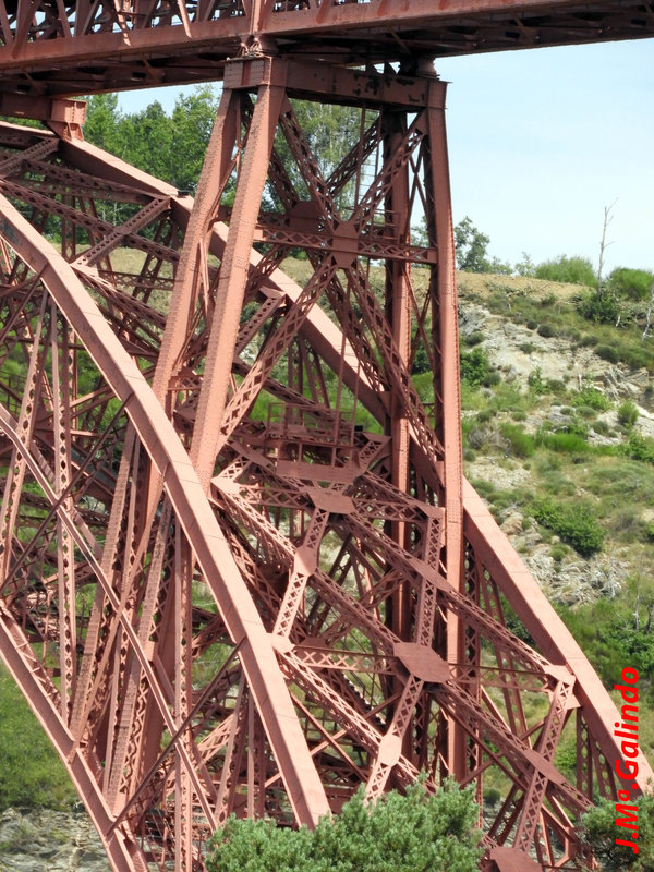 DSCN3954.jpg