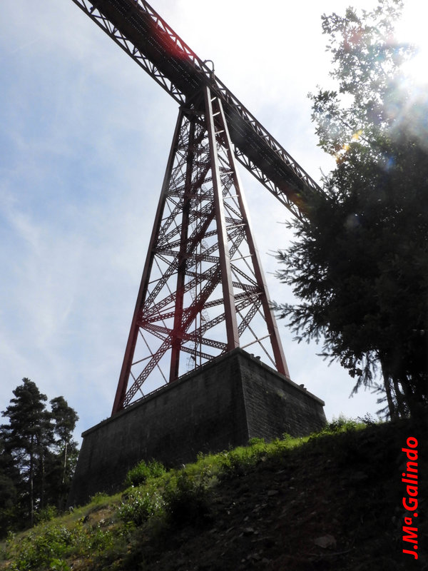DSCN3961.jpg