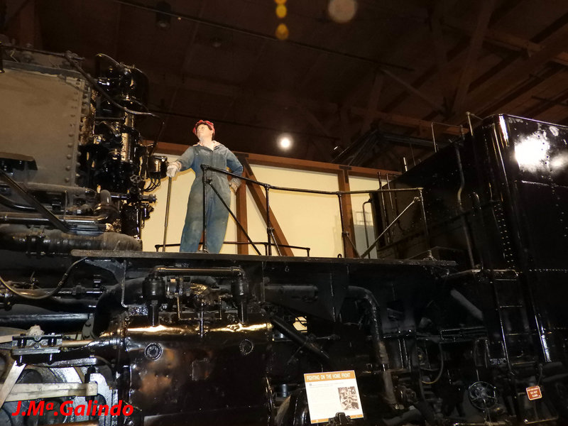 DSCN4229.jpg