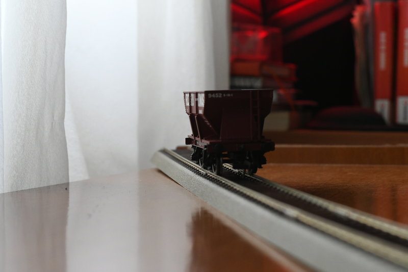 DSC_0202.JPG