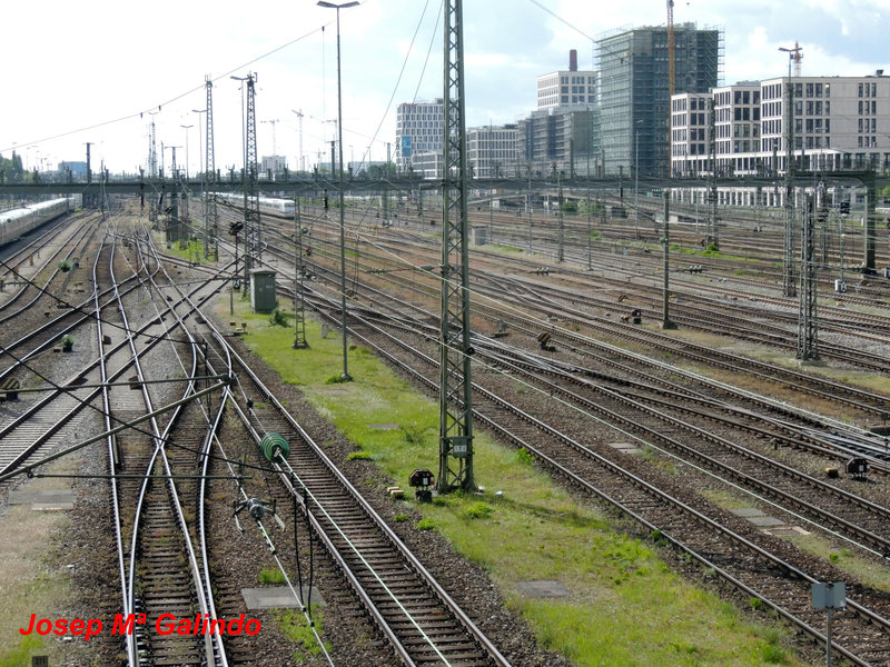 DSCN4928.jpg