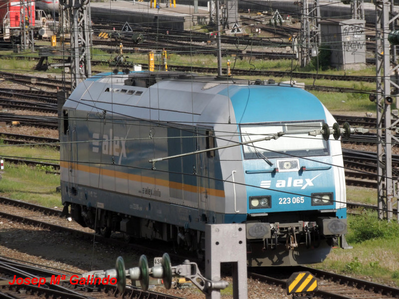 DSCN4943.jpg