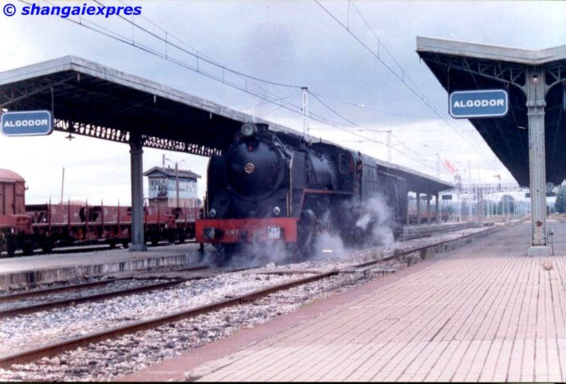 Mikado Algodor.jpg