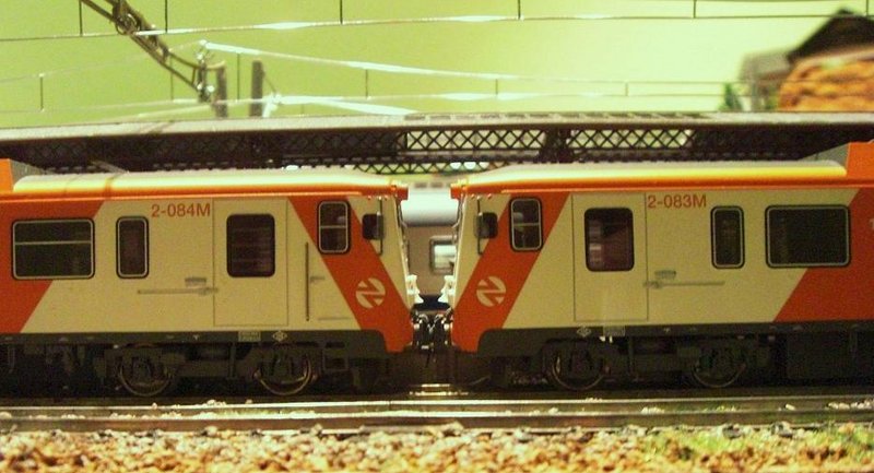 CIMG0315.JPG