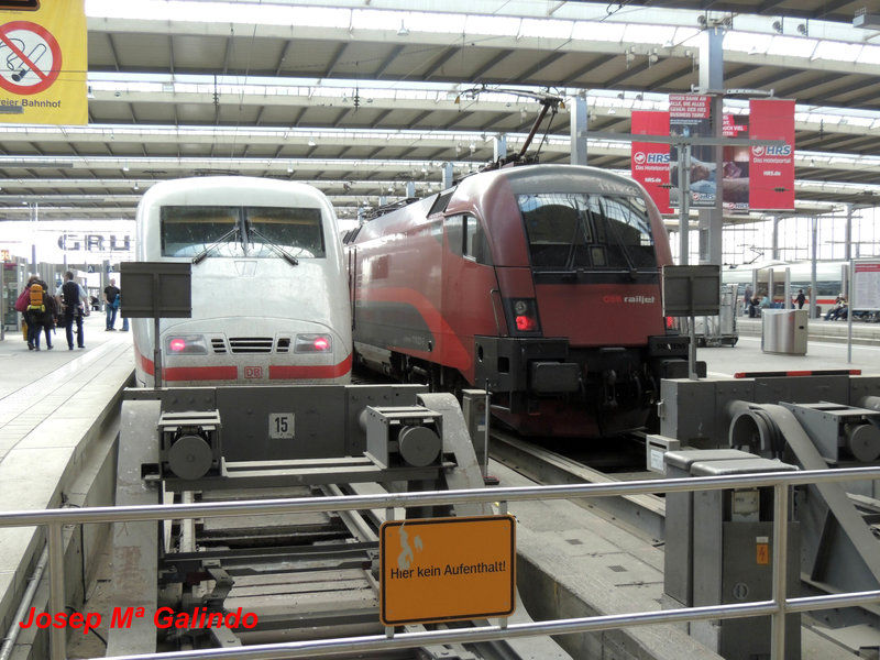 DSCN4955.jpg