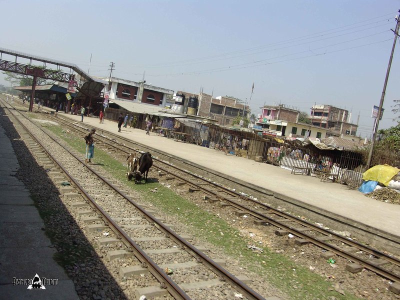 BANGLADESH (233).jpg