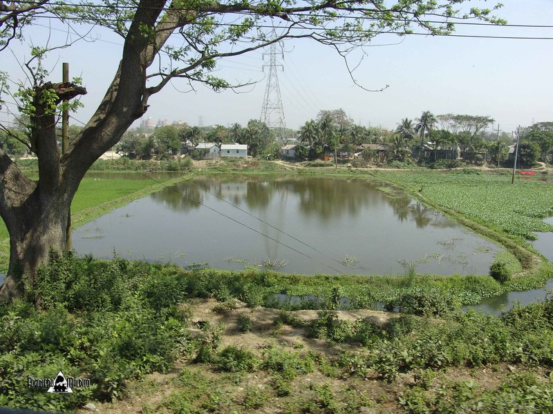 BANGLADESH (245).jpg