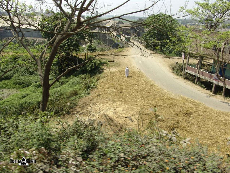 BANGLADESH (249).jpg