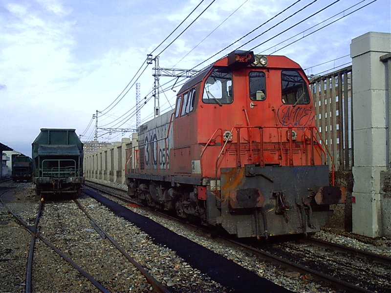 IMAG0018.JPG