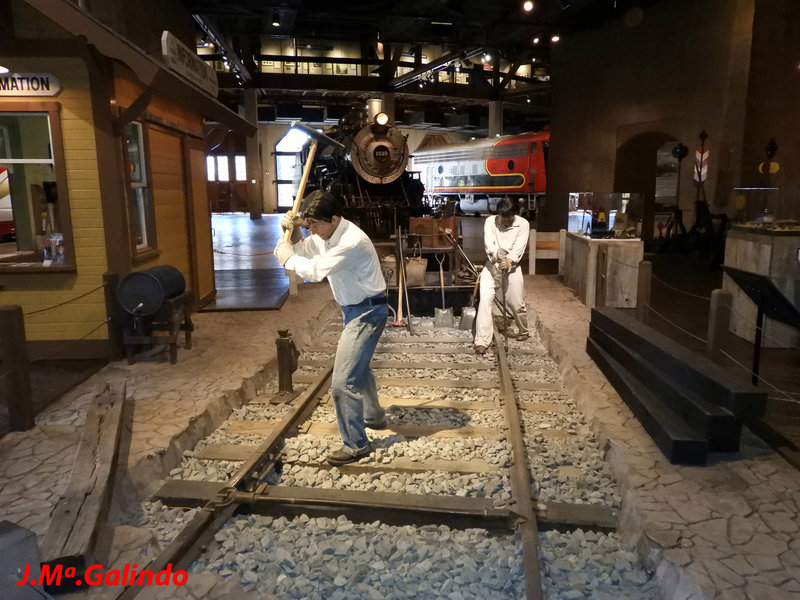 DSCN4365.jpg