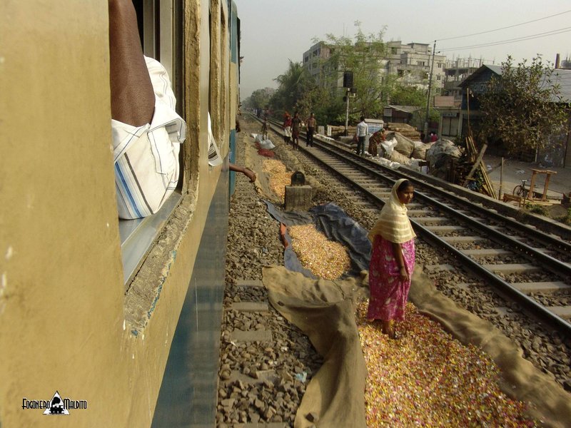 BANGLADESH (365).jpg