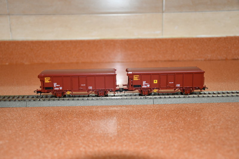 DSC_1223.JPG