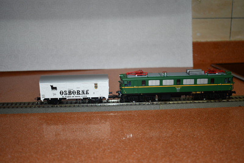 DSC_0903.JPG
