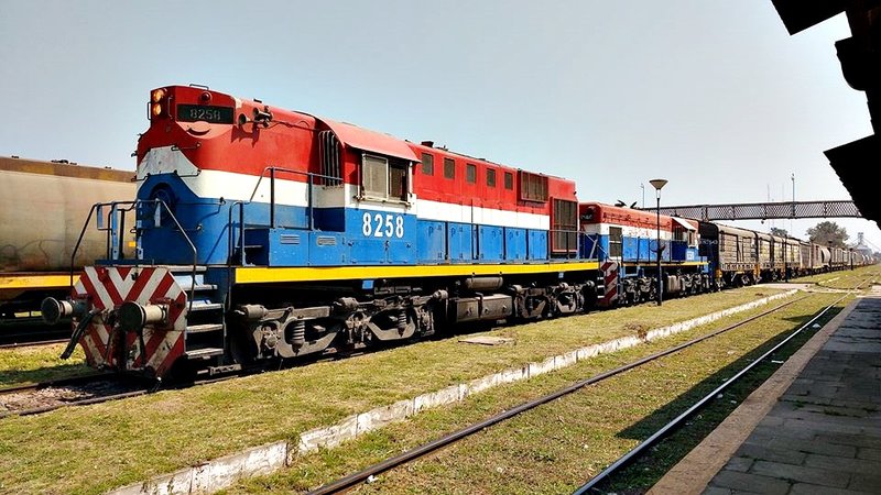9801.jpg