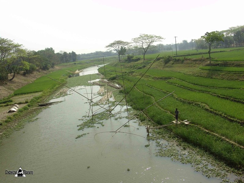 BANGLADESH (412).jpg