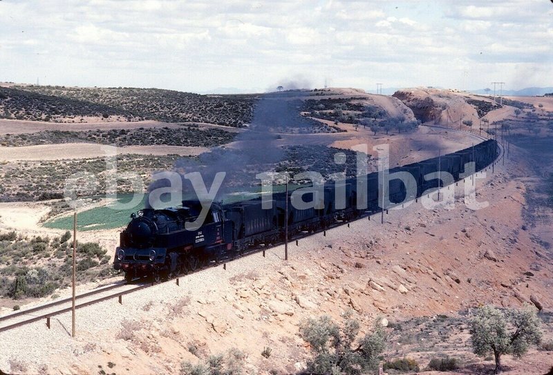 242 INI 1979.jpg