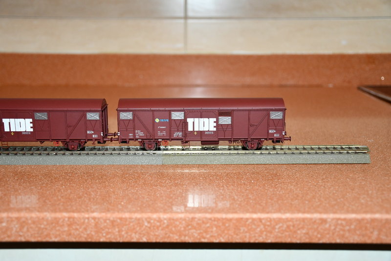 DSC_1232.JPG