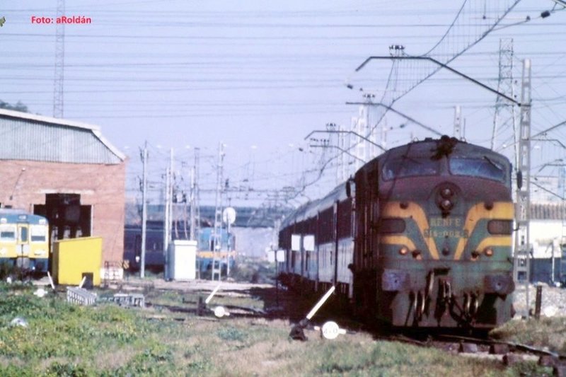 9801.jpg