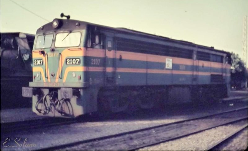 9804.jpg