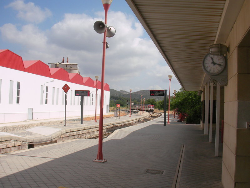 SANY0005.JPG