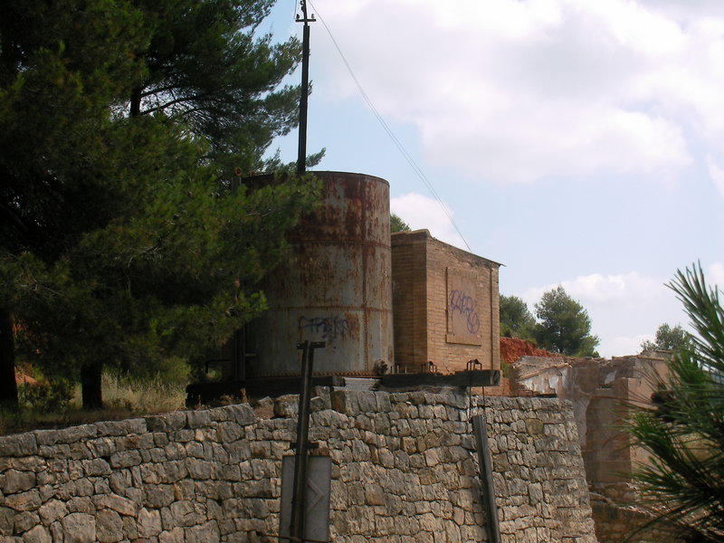 SANY0010.JPG