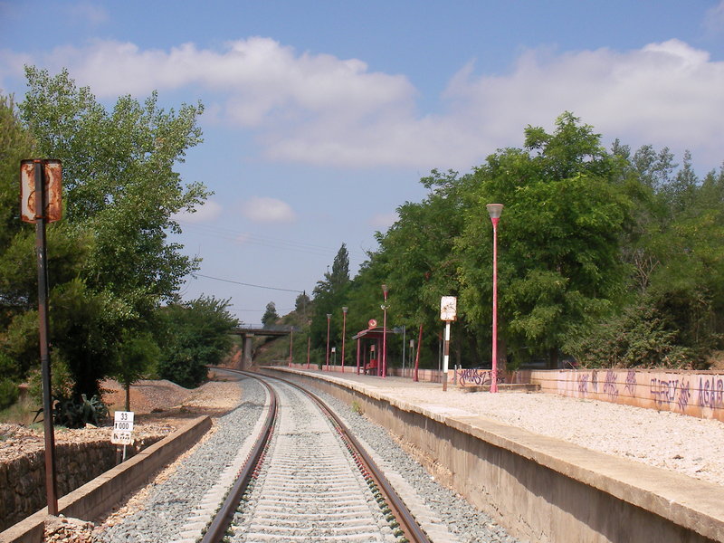 SANY0011.JPG