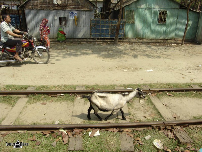 BANGLADESH (463).jpg