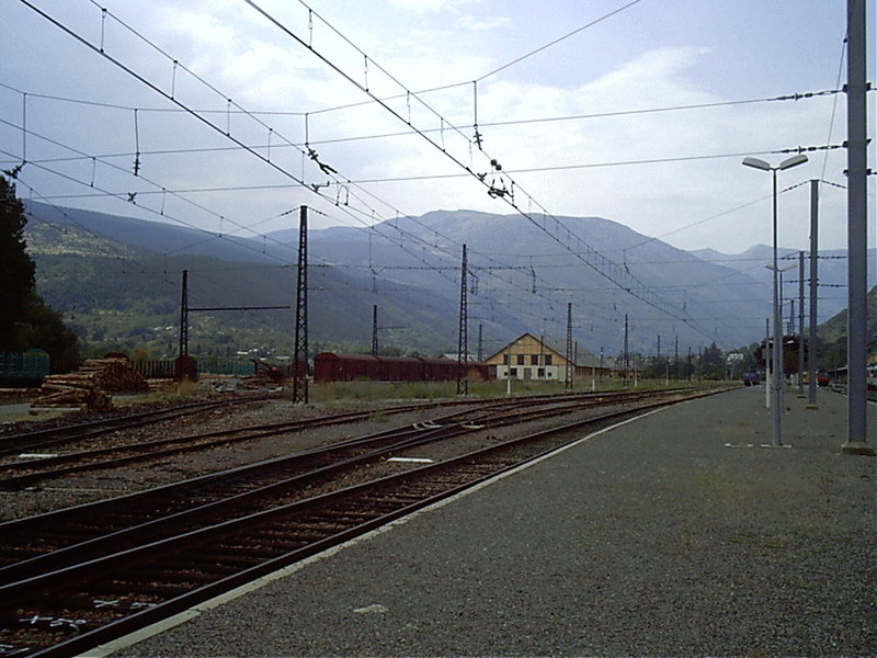 IMAG0697.JPG