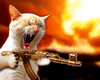 machinegunkitty1iw3xp.gif