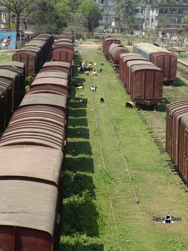 BANGLADESH (496).jpg
