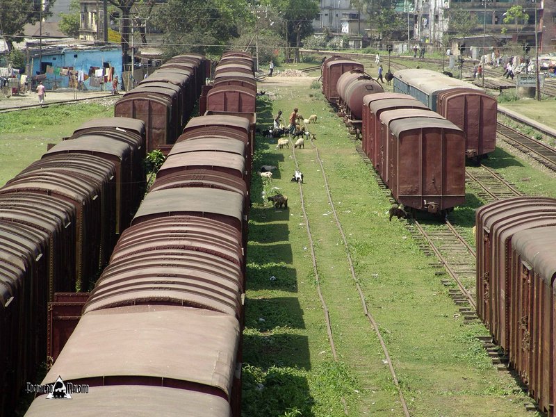 BANGLADESH (497).jpg