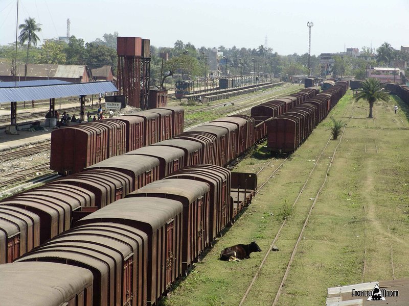 BANGLADESH (499).jpg