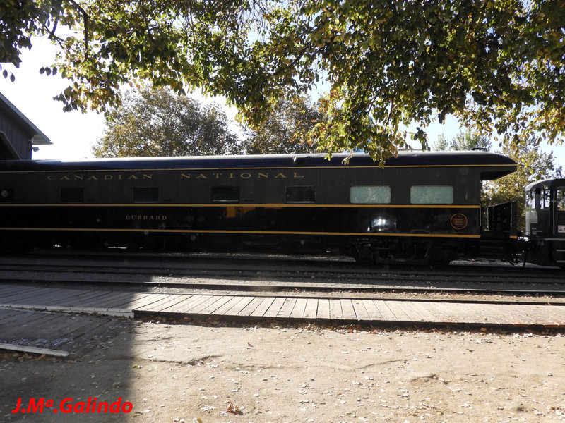 DSCN4409.jpg